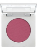 KRYOLAN-BLUSHER 8 G / RÓŻ PRASOWANY DO POLICZKÓW / S 304