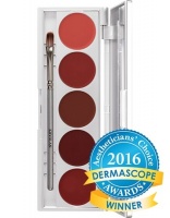 KRYOLAN-CREAM BLUSHER PALETTE 5 COLORS / RÓŻ DO POLICZKÓW W KREMIE / DELIGHT