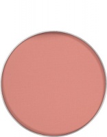 KRYOLAN-EYE SHADOW MATT REFILL / CIEŃ PRASOWANY DO POWIEK / RB 79